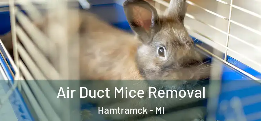 Air Duct Mice Removal Hamtramck - MI