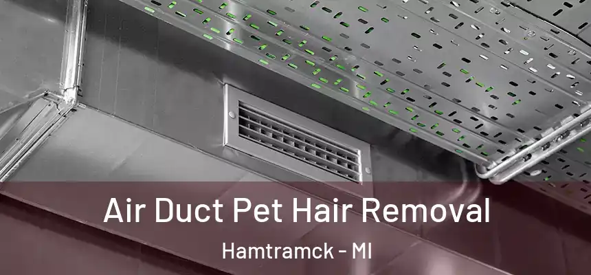  Air Duct Pet Hair Removal Hamtramck - MI