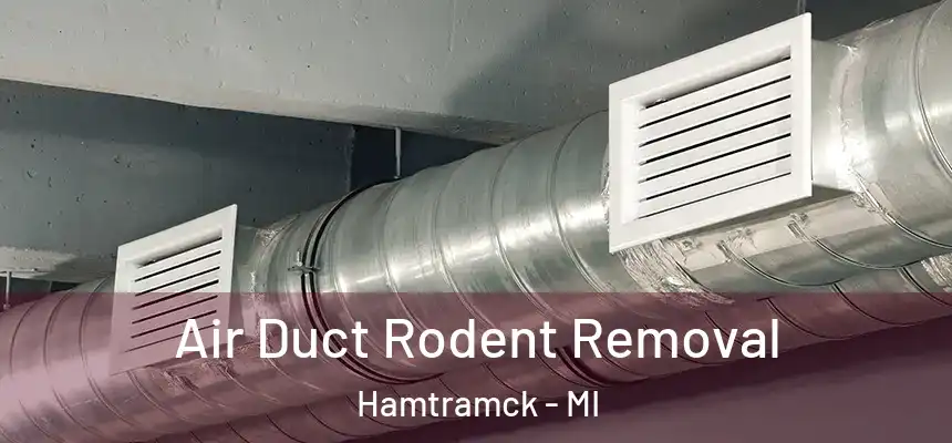  Air Duct Rodent Removal Hamtramck - MI