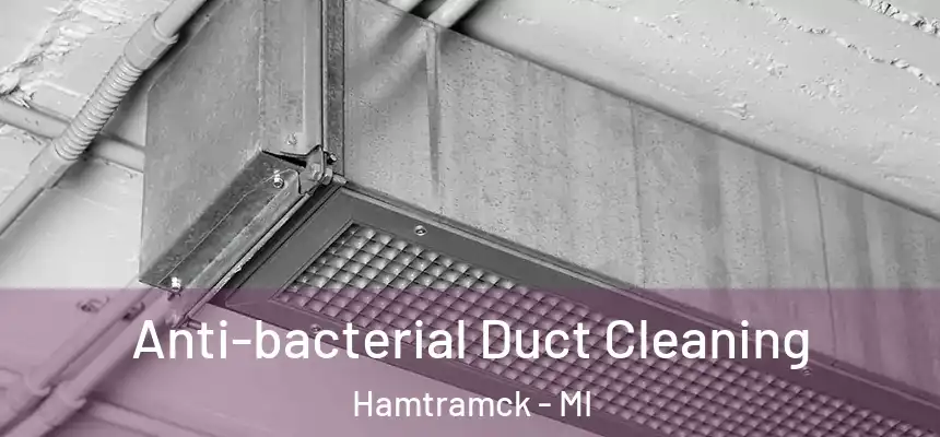  Anti-bacterial Duct Cleaning Hamtramck - MI