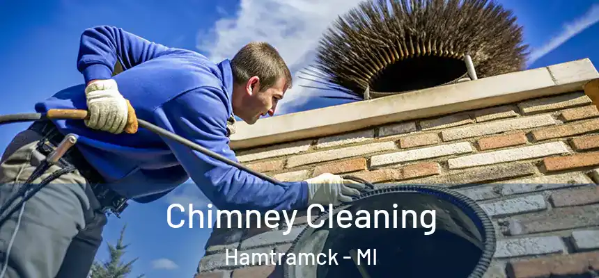  Chimney Cleaning Hamtramck - MI