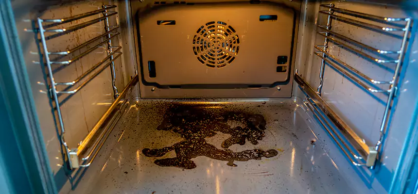 Our Air Purifier Installation Services in Hamtramck, MI