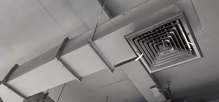 Our Pest Removal From Ducts Services in Hamtramck, MI