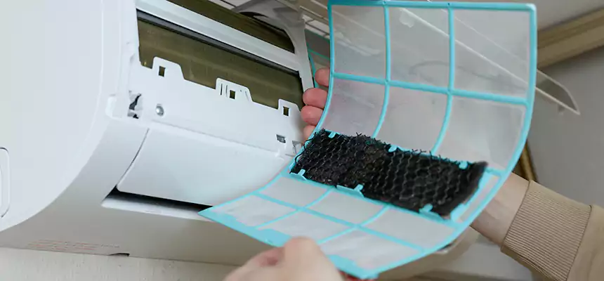 Gentle Ductwork Odor-Control Pet Dander Duct Cleaning in Hamtramck, MI