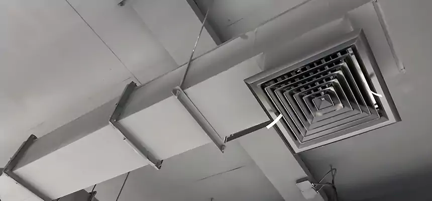 Our Rodent Droppings In Vents Services in Hamtramck, MI