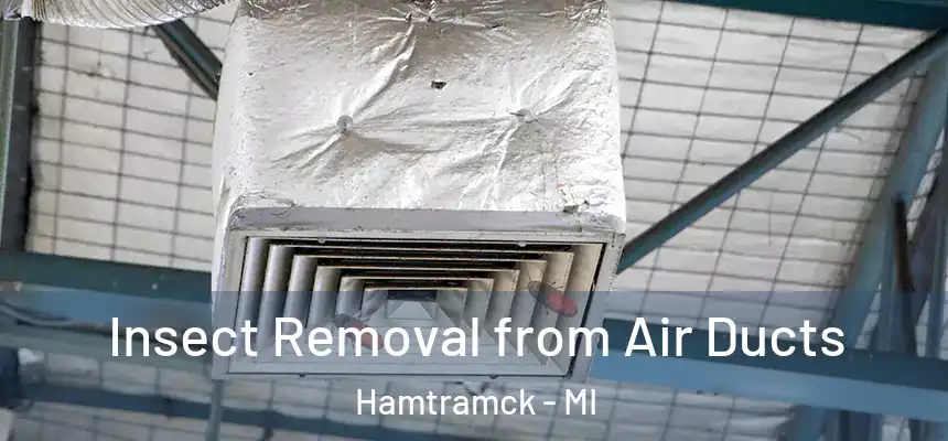  Insect Removal from Air Ducts Hamtramck - MI