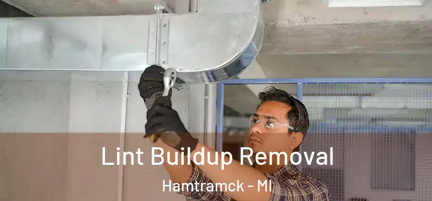 Lint Buildup Removal Hamtramck - MI