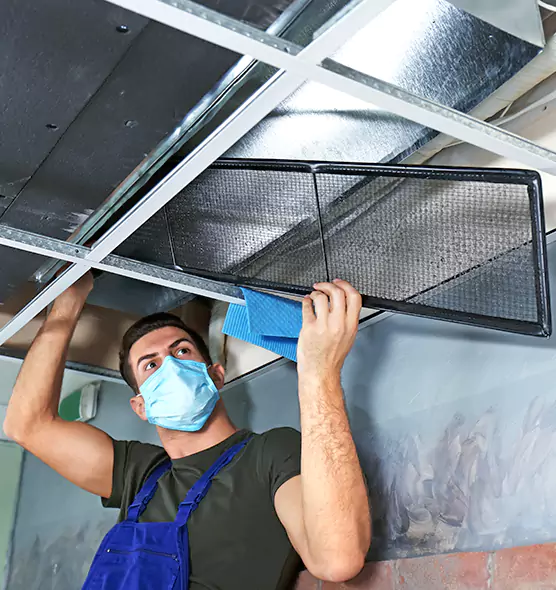 About Air Duct Bacteria Removal in Hamtramck