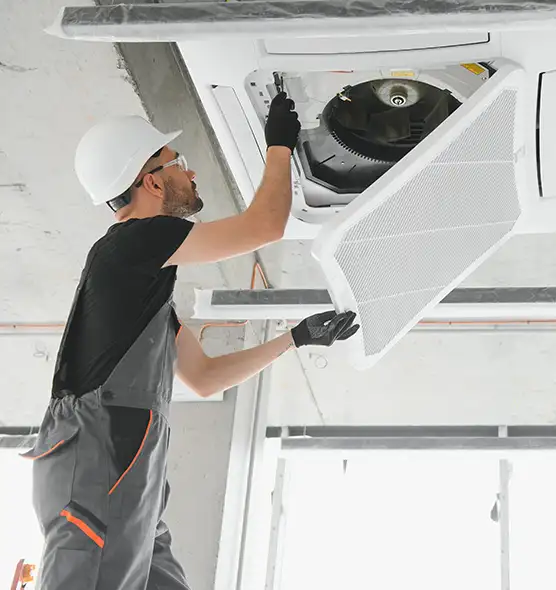 About Air Duct Rodent Removal in Hamtramck, MI