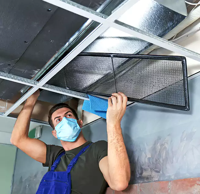 Why Homeowners Businesses Trust Us in Hamtramck, MI